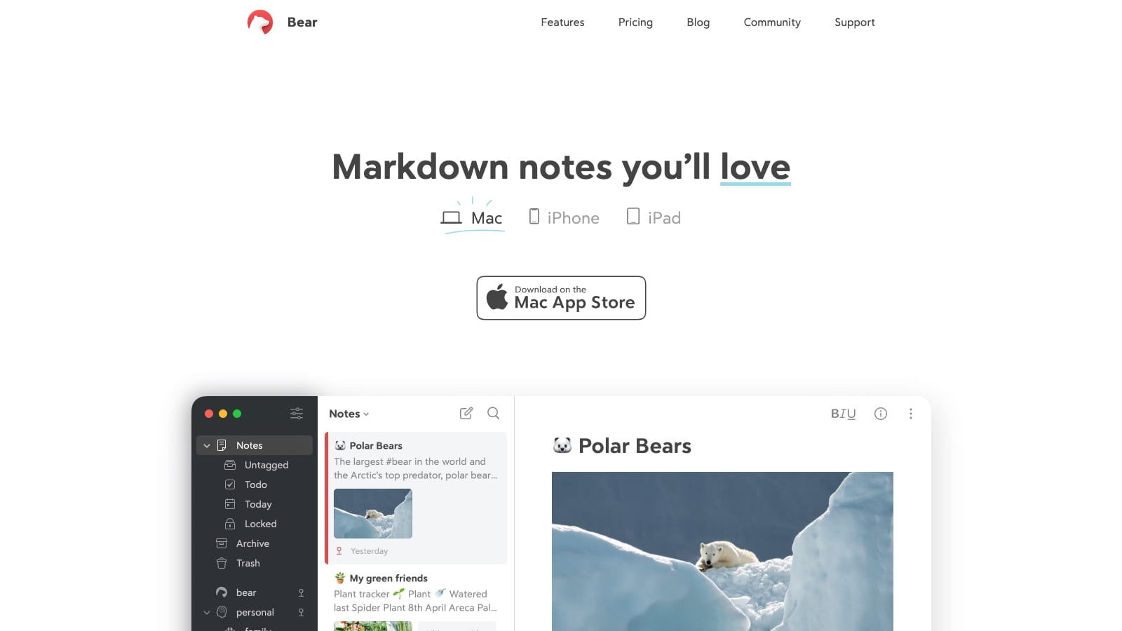 Bear - Write naturally